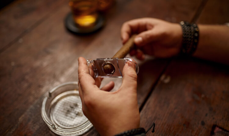 Man with guillotine cuts a cigar, wooden table on background. Tobacco smoking culture, specific flavor. Male smoker leisures with glass of alcohol